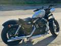 Harley-Davidson Sportster Forty Eight Gris - thumbnail 1