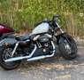 Harley-Davidson Sportster Forty Eight Gris - thumbnail 4