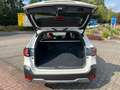 Subaru OUTBACK Outback Platinum MJ 25 Wit - thumbnail 7