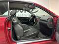Mercedes-Benz CLK 200 GARANTIE/5-GANG/BOSE/LEDER/KLIMA/SCHECKH Rot - thumbnail 37