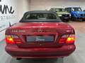 Mercedes-Benz CLK 200 GARANTIE/5-GANG/BOSE/LEDER/KLIMA/SCHECKH Rot - thumbnail 14