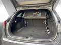 Kia Ceed / cee'd Sportswagon GT Line 1.5 T-GDI Techn. 18Zoll Grau - thumbnail 12