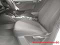Audi Q2 30 TDI S tronic Bianco - thumbnail 11