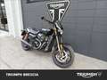 Harley-Davidson Street Rod abs Nero - thumbnail 2