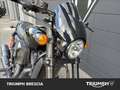 Harley-Davidson Street Rod abs Nero - thumbnail 7
