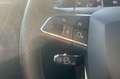 SEAT Ibiza 1.0 TGI S&S FR Eco Plus 90 Gris - thumbnail 26