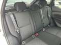 Nissan Qashqai 1.5dCi Tekna 4x2 Blanc - thumbnail 27