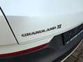 Opel Grandland X Ultimate (360 Kamera/Navi/Leder) White - thumbnail 20