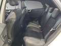 Ford Puma Hybrid ST-Line X Sportpaket Bluetooth Navi Weiß - thumbnail 10