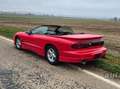 Pontiac Firebird Firebird Automatik Rot - thumbnail 19