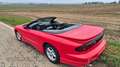 Pontiac Firebird Firebird Automatik Rot - thumbnail 15