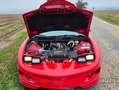Pontiac Firebird Firebird Automatik Rot - thumbnail 10