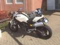 Ducati Monster 696 Plus Bianco - thumbnail 1