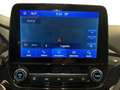 Ford Fiesta 1.0 EcoBoost MHEV ST Line X Aut. 125 Blanco - thumbnail 20