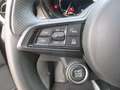 Alfa Romeo Tonale 1.6 diesel 130Cv TCT6 Sprint Matrix/CarPlay Gri - thumbnail 14