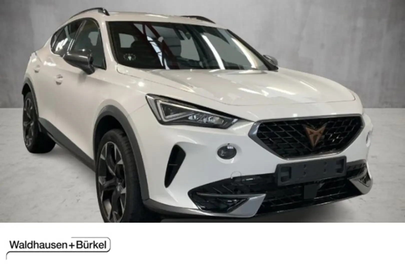 CUPRA Formentor 1.5 TSI DSG Kamera Klima Rückfahrkamera Weiß - 1