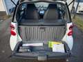 smart forTwo 70PS*CarPlay*Kamera*Panorama*SHZ*Klima Weiß - thumbnail 20