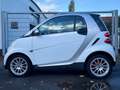 smart forTwo 70PS*CarPlay*Kamera*Panorama*SHZ*Klima Weiß - thumbnail 4