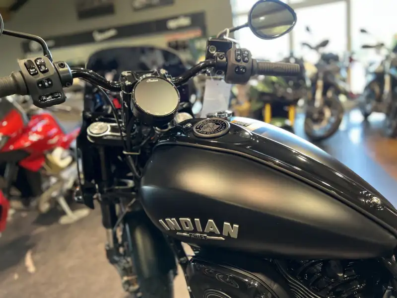 Indian Sport Chief 1900 - foto 5