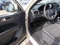 SsangYong Musso Musso Grand 2.2D Amber 4WD, sofort Beige - thumbnail 15