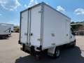 Iveco Daily 35 C14*Carrier Xarios 300*Tempomat* Blanco - thumbnail 6