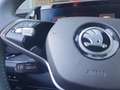 Skoda Kodiaq 1.5 TSI Selection Navi Matrix Kamera Digitales Coc Schwarz - thumbnail 21
