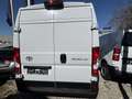 Toyota Proace Max L3H2 Meister nur für Handwerksbetriebe Alb - thumbnail 6