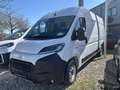 Toyota Proace Max L3H2 Meister nur für Handwerksbetriebe Alb - thumbnail 1