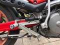 Gilera Saturno Bialbero 350 Rouge - thumbnail 16