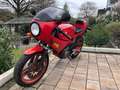 Gilera Saturno Bialbero 350 Piros - thumbnail 2