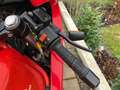 Gilera Saturno Bialbero 350 Rouge - thumbnail 6