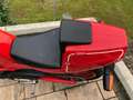 Gilera Saturno Bialbero 350 Rot - thumbnail 12