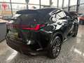 Lexus NX 450h+ Plug-in Executive Line LED, SHZ, 360°Kam Schwarz - thumbnail 4