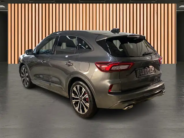 Ford Kuga view 5