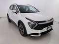 Kia Sportage 1.6 CRDi MHEV Business Bianco - thumbnail 23