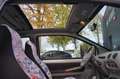 Renault Twingo 1.2 Cinétic, stuurbekrachtiging, Open dak, Elek pa Gris - thumbnail 19