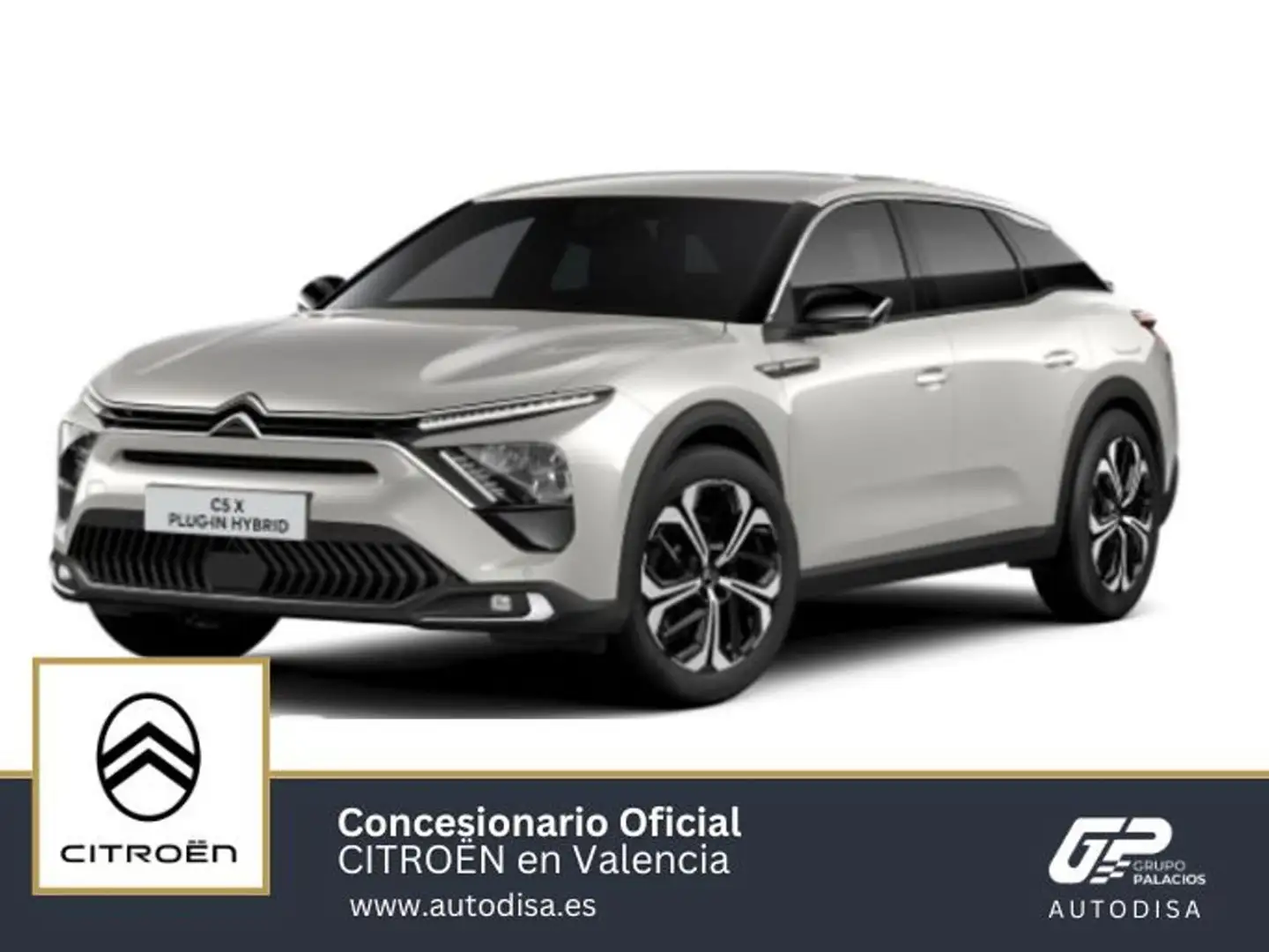 Citroen C5 X Hybrid Shine Pack EAT8 225 Gris - 1