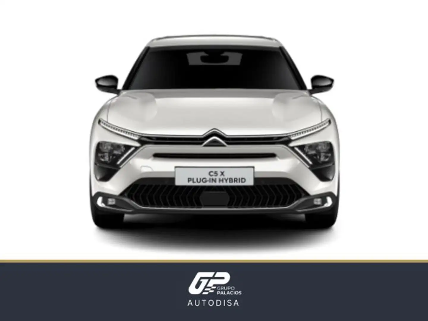 Citroen C5 X Hybrid Shine Pack EAT8 225 Gris - 2