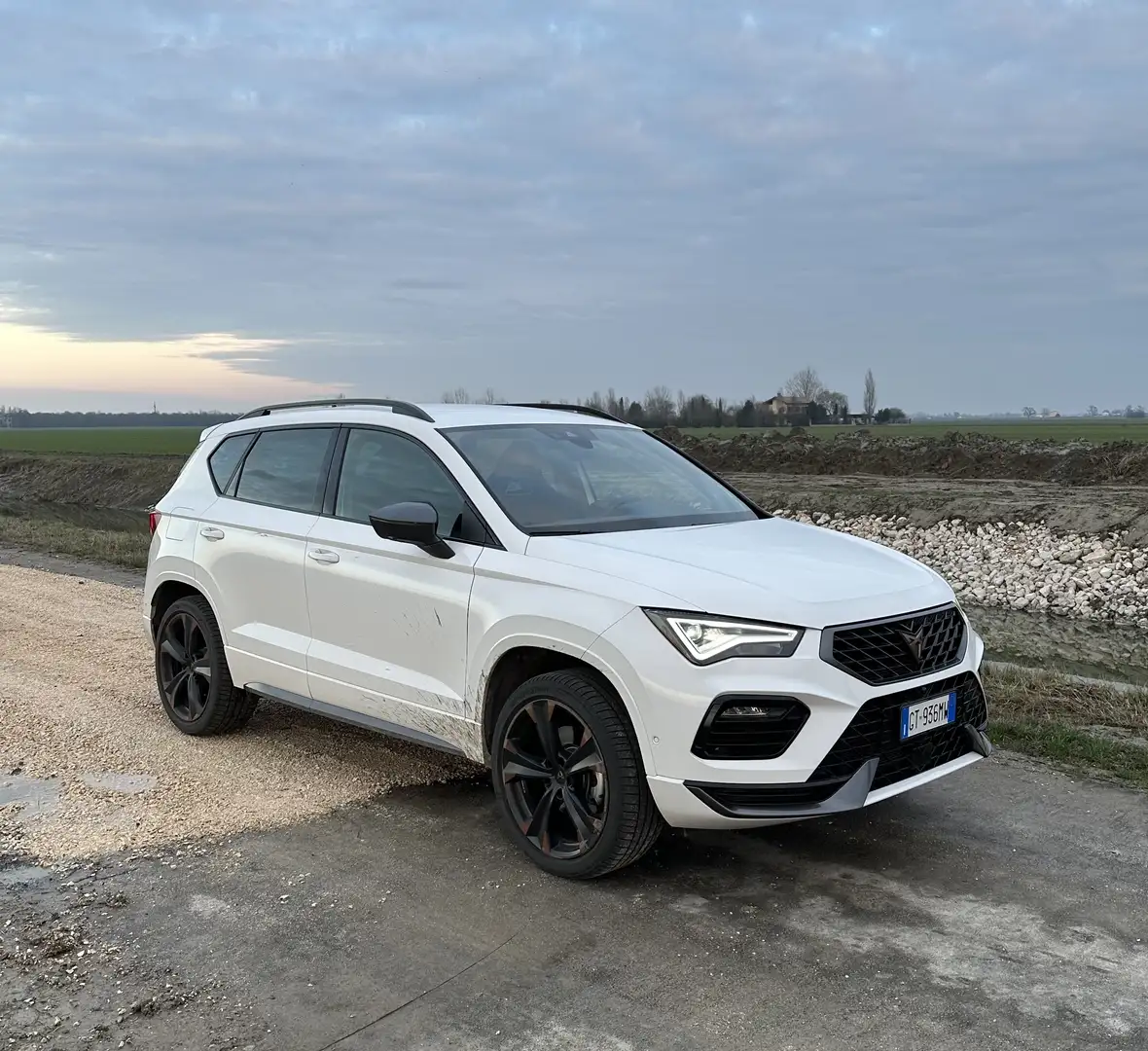 CUPRA Ateca 2.0 tsi 4drive 190cv dsg - 2