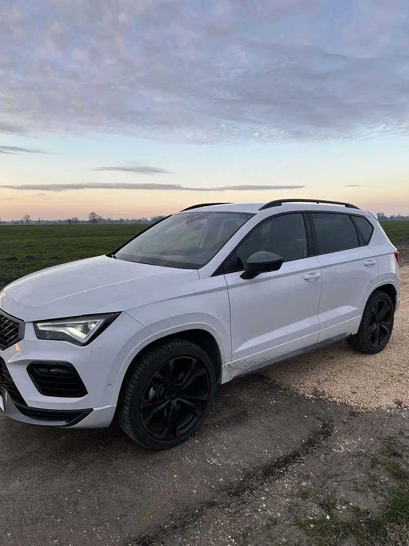CUPRA Ateca 2.0 tsi 4drive 190cv dsg - 1