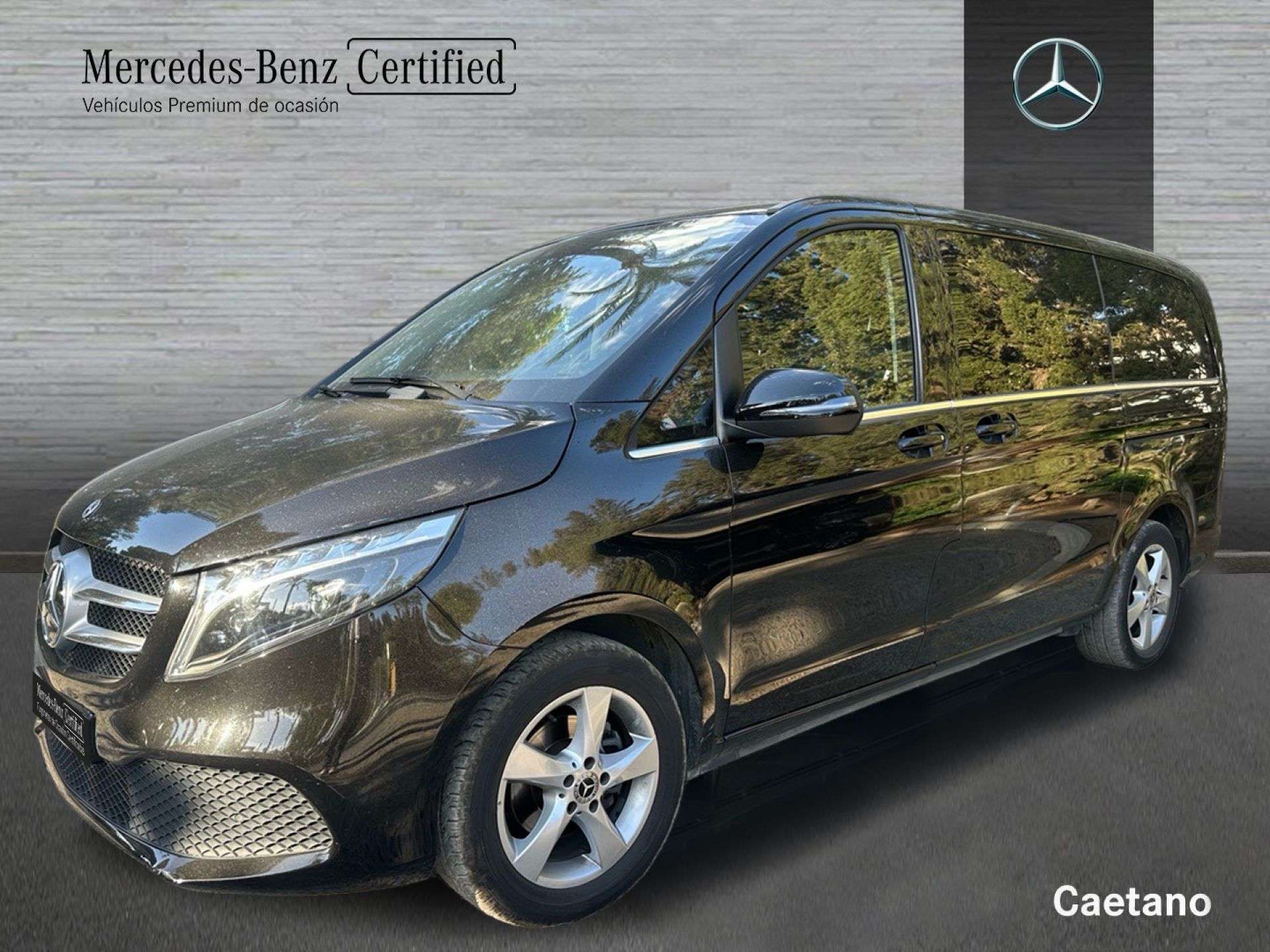 2024 Mercedes Benz V 220