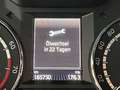Skoda Octavia Combi RS 2.0 TSI 1. Hand+STANDHEIZUNG Grau - thumbnail 30