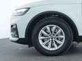 Audi Q5 LED|Kamera|Standheizung|Tempomat|SHZ|Navi|PDC Weiß - thumbnail 14