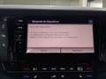 Volkswagen Touareg 3.0TDI V6 Premium Tiptronic Elegance 4M 210kW Gris - thumbnail 17