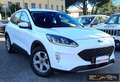 Ford Kuga 1.5 EcoBlue 120 CV 2WD Titanium Business Blanc - thumbnail 2