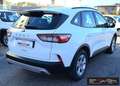 Ford Kuga 1.5 EcoBlue 120 CV 2WD Titanium Business Blanc - thumbnail 5