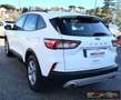 Ford Kuga 1.5 EcoBlue 120 CV 2WD Titanium Business Blanc - thumbnail 4