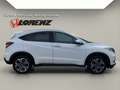 Honda HR-V 1.6DTEC Executive AHK NAVI KAMERA PANO M&S Weiß - thumbnail 8