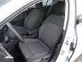 Volkswagen Golf VIII 1.5 TSI LIFE+ACC+SITZHEIZUNG+ANDROID Weiß - thumbnail 3