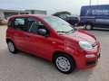 Fiat Panda 1.0 FireFly S&S Hybrid Piros - thumbnail 5
